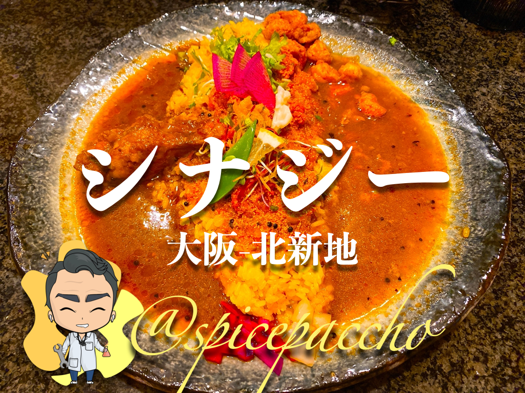 シナジー 大阪 北新地 21年ミシュランビブグルマンを初受賞した スパイスカレー スパイスパッチョ シナジー 大阪 北新地 21年ミシュランビブグルマンを初受賞した スパイスカレー スパイスパッチョ