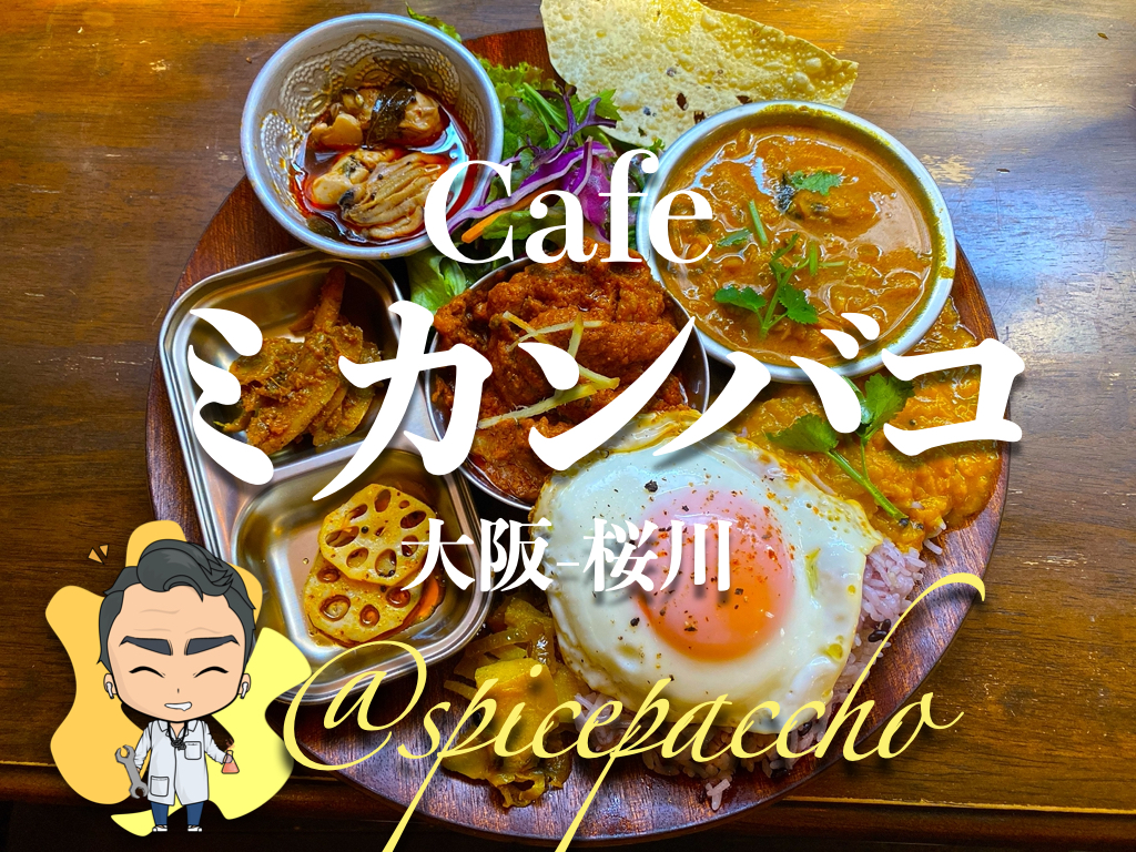 Cafe ミカンバコ 大阪 桜川 土 祝日限定 ぜんぶのせカレー 衝撃の美味さとボリューム スパイスパッチョ